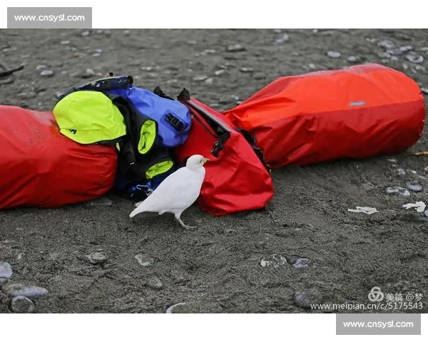 背起百岁奶奶看球赛:116 岁库尔班罕的足球圆梦之旅